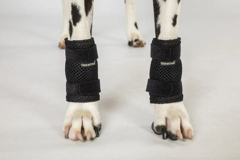 BOT Dog Leg Brace