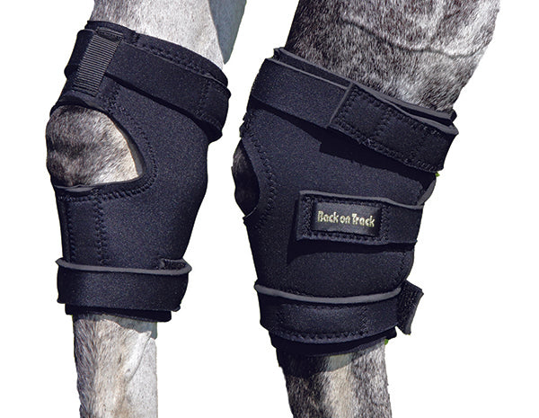 Hock boots outlet for capped hocks