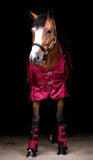 BOT Equine Sheet (Mesh) Burgundy