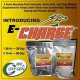 OxyGen Echarge electrolyte