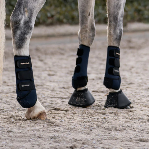 Bot boots 2025 for horses