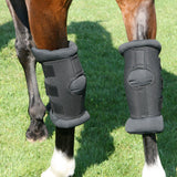 BOT Equine Hock Boots Padded Royal